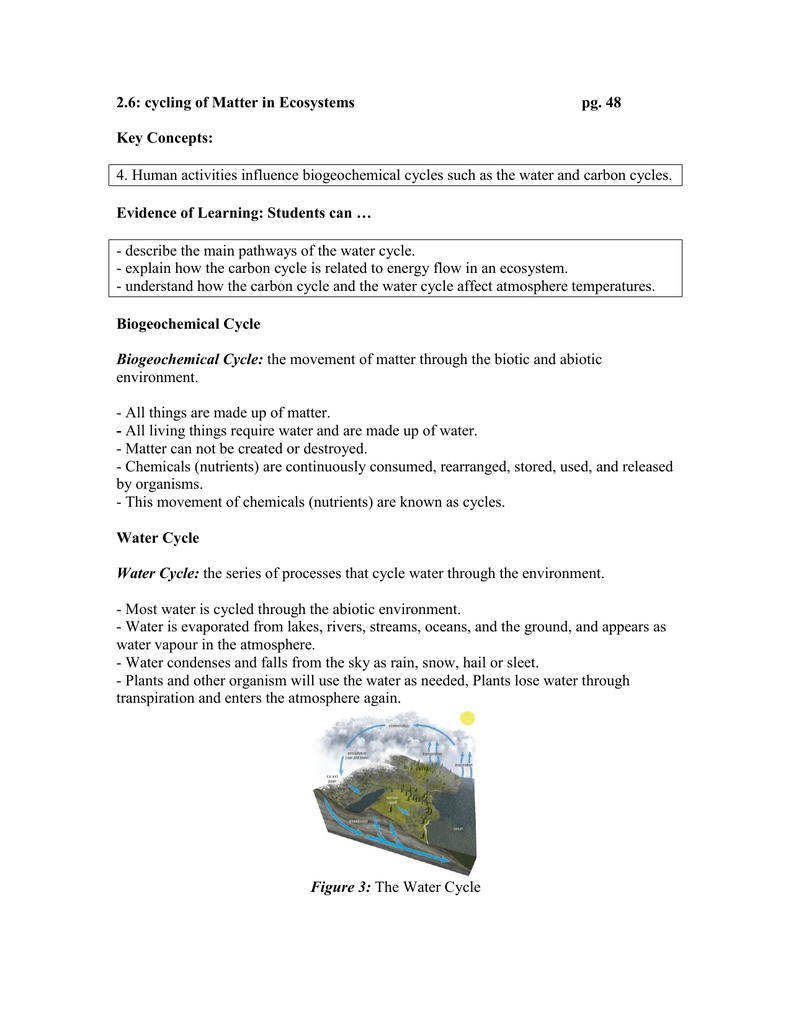 Biogeochemical Cycles Review Worksheet 11