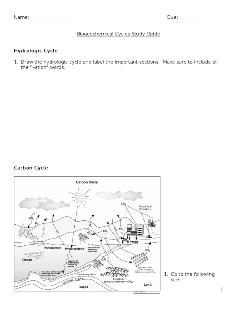 Biogeochemical Cycles Review Worksheet 13