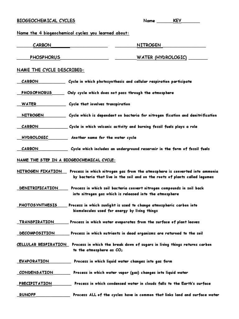 Biogeochemical Cycles Review Worksheet 14