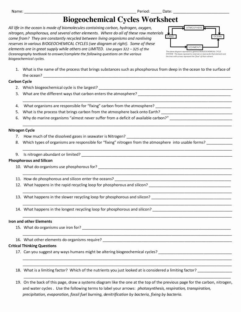 Biogeochemical Cycles Review Worksheet 17