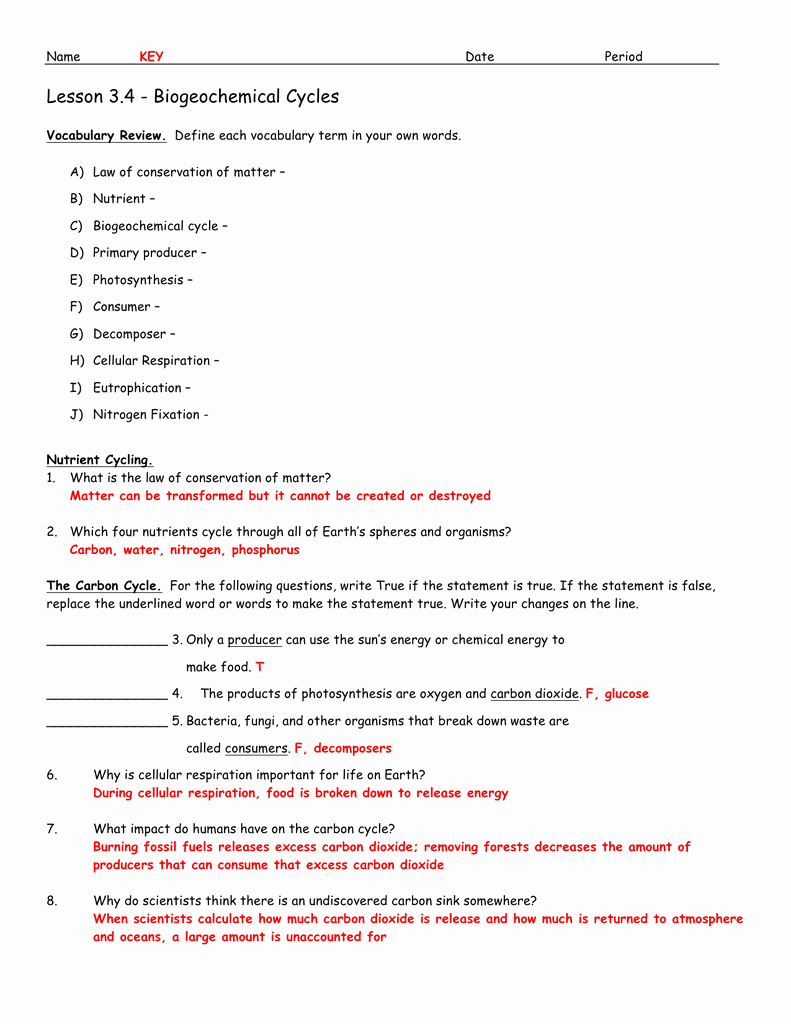 Biogeochemical Cycles Review Worksheet 18