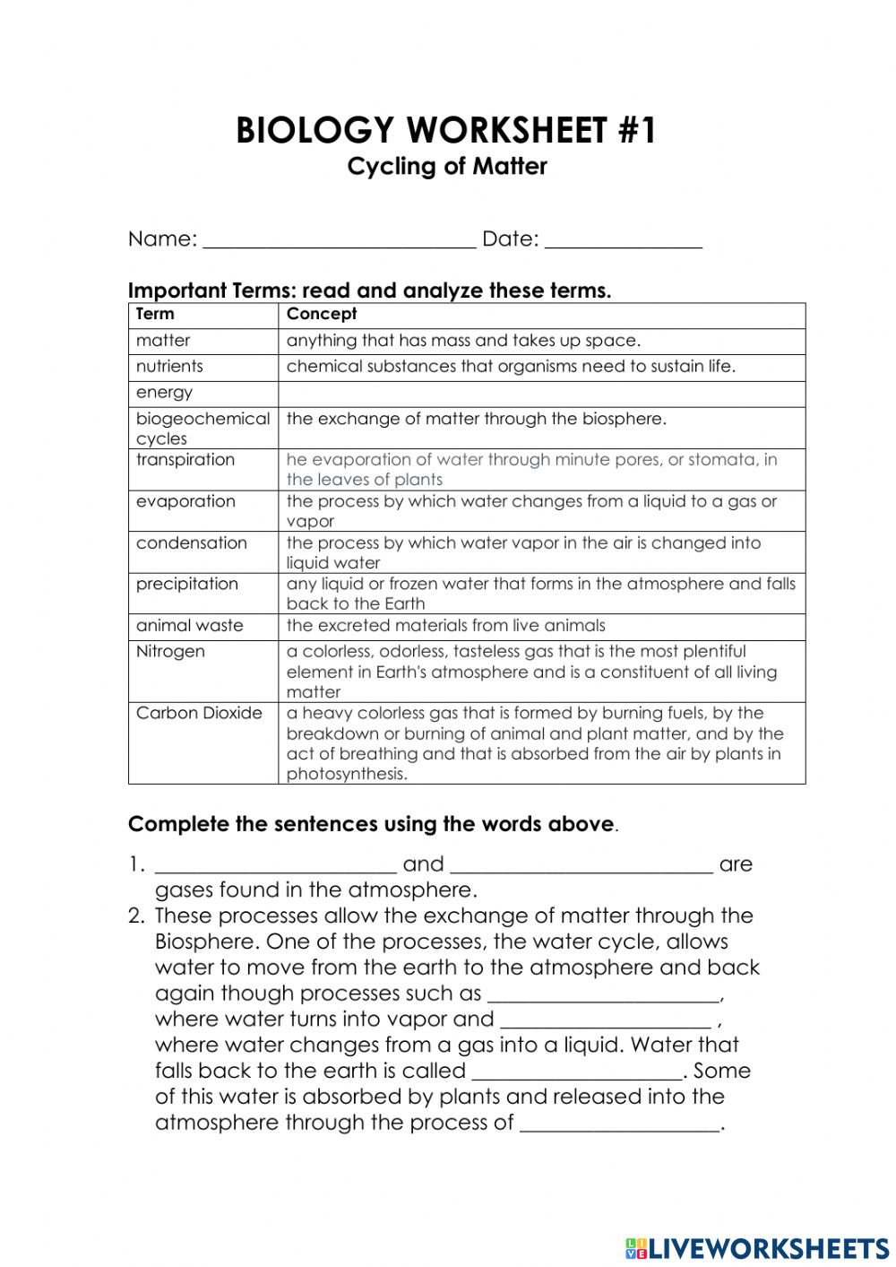 Biogeochemical Cycles Review Worksheet 19