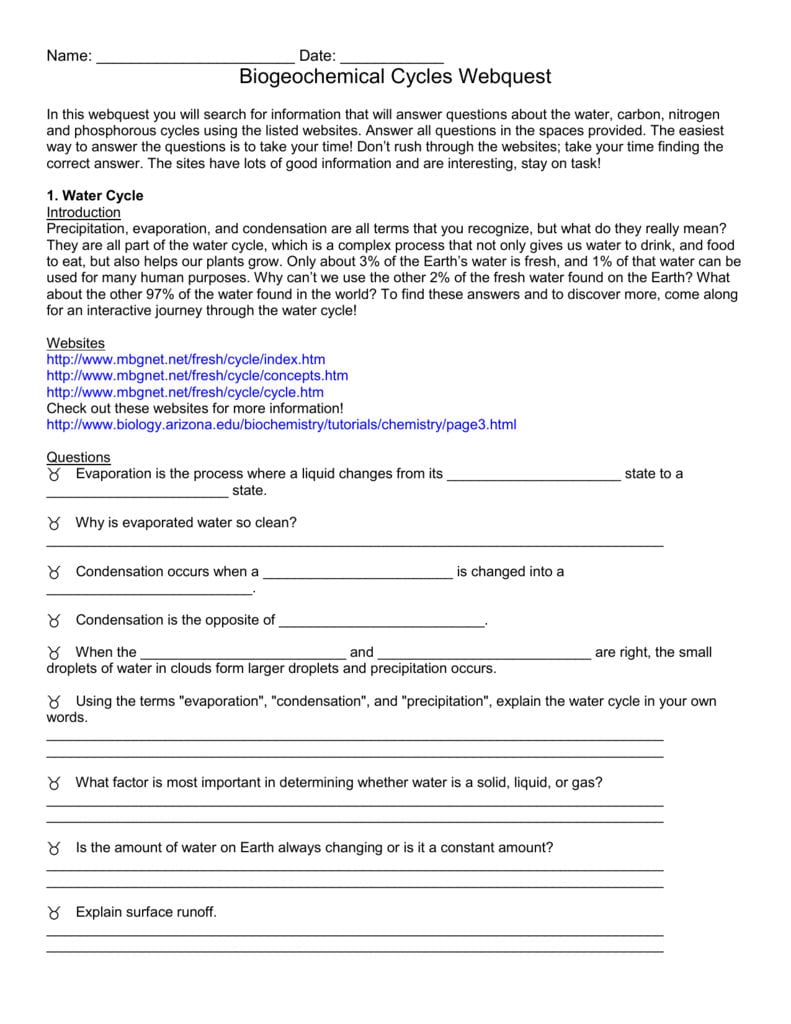 Biogeochemical Cycles Review Worksheet 24