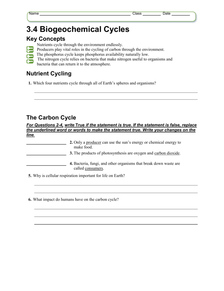 Biogeochemical Cycles Review Worksheet 25