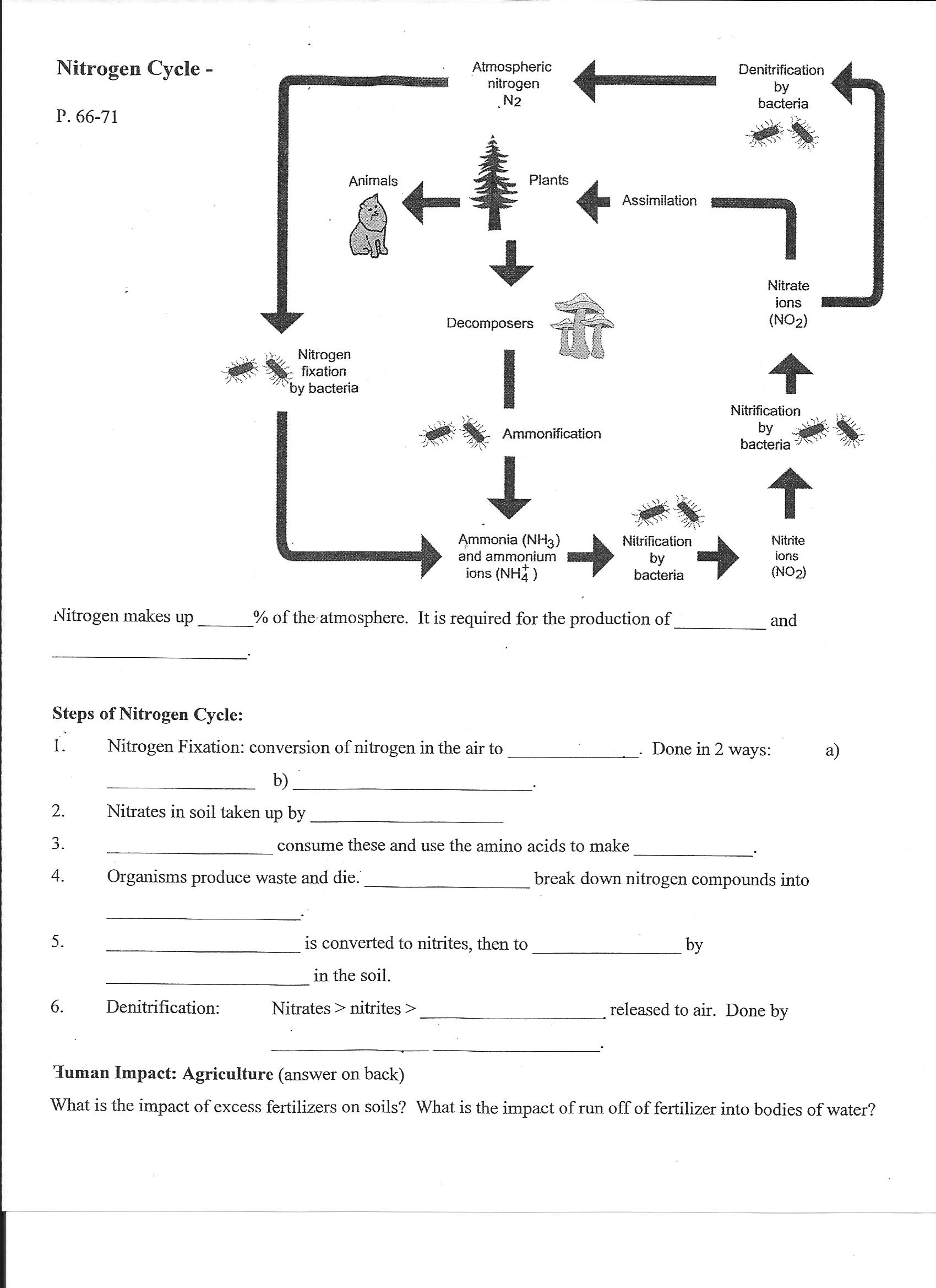 Biogeochemical Cycles Review Worksheet 27