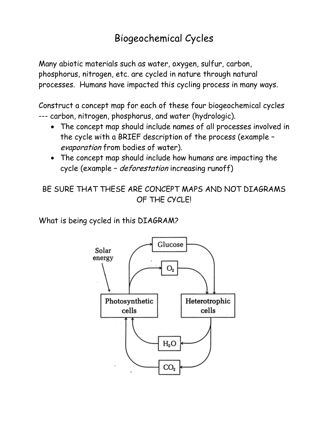 Biogeochemical Cycles Review Worksheet 3