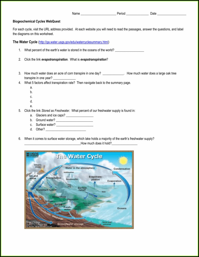 Biogeochemical Cycles Review Worksheet 31