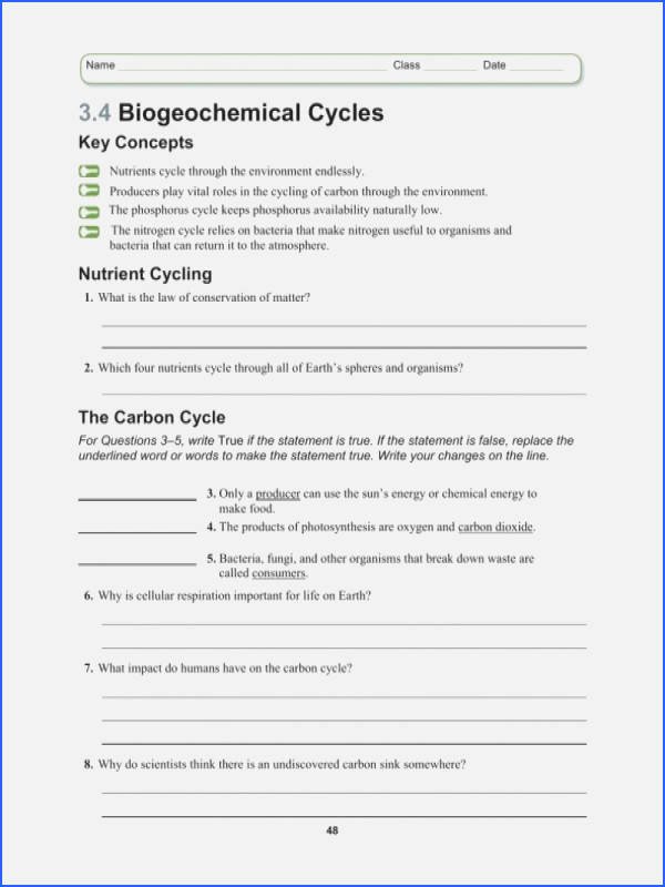 Biogeochemical Cycles Review Worksheet 32