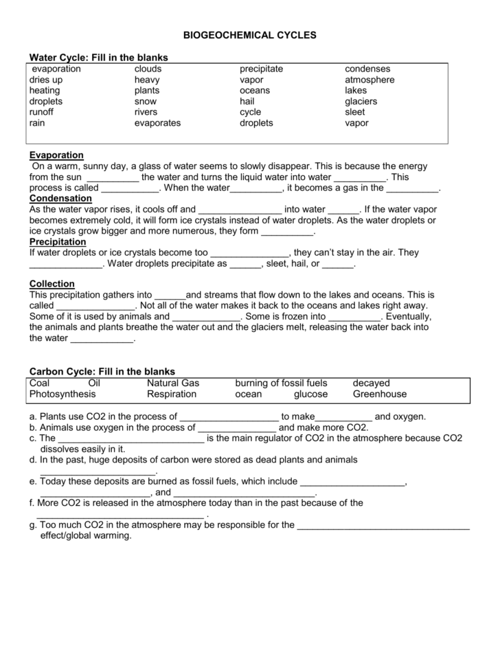 Biogeochemical Cycles Review Worksheet 35