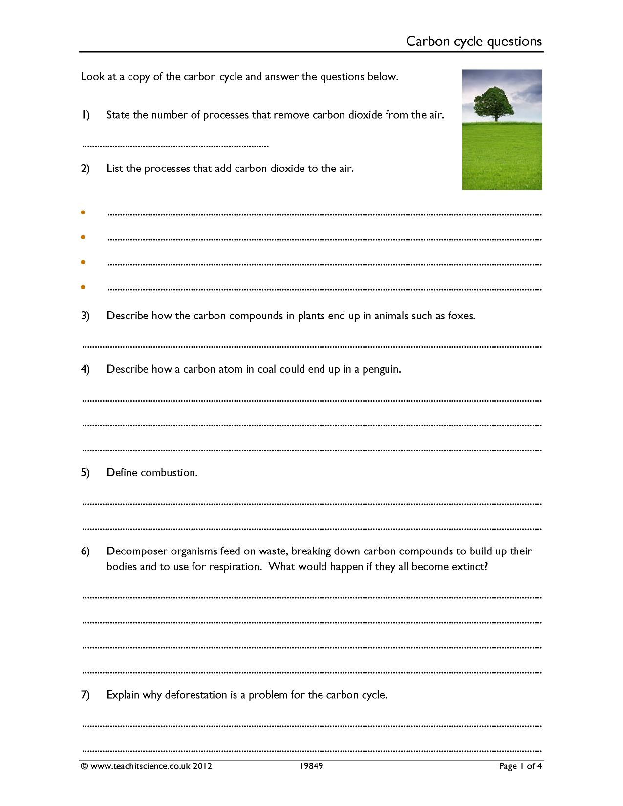 Biogeochemical Cycles Review Worksheet 36