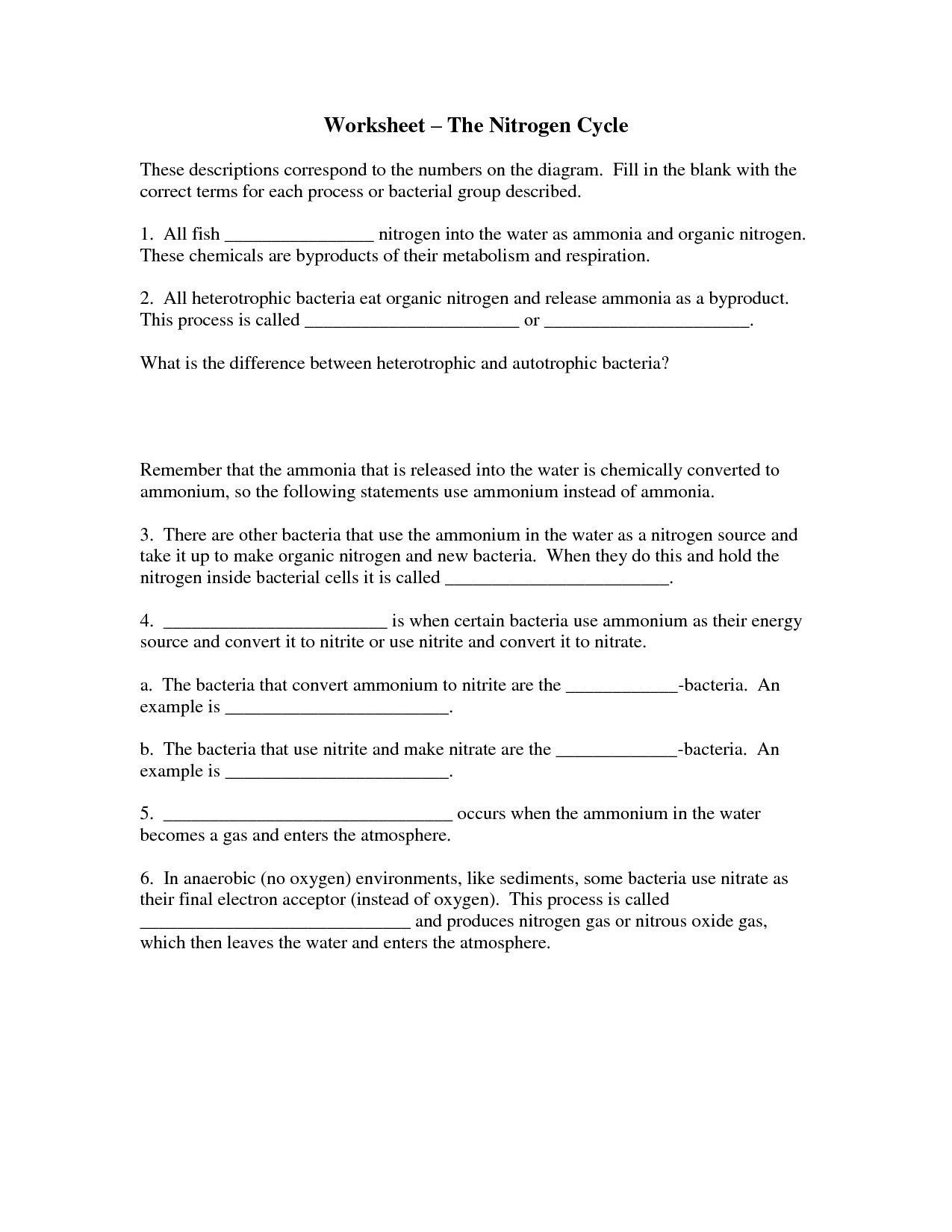 Biogeochemical Cycles Review Worksheet 37