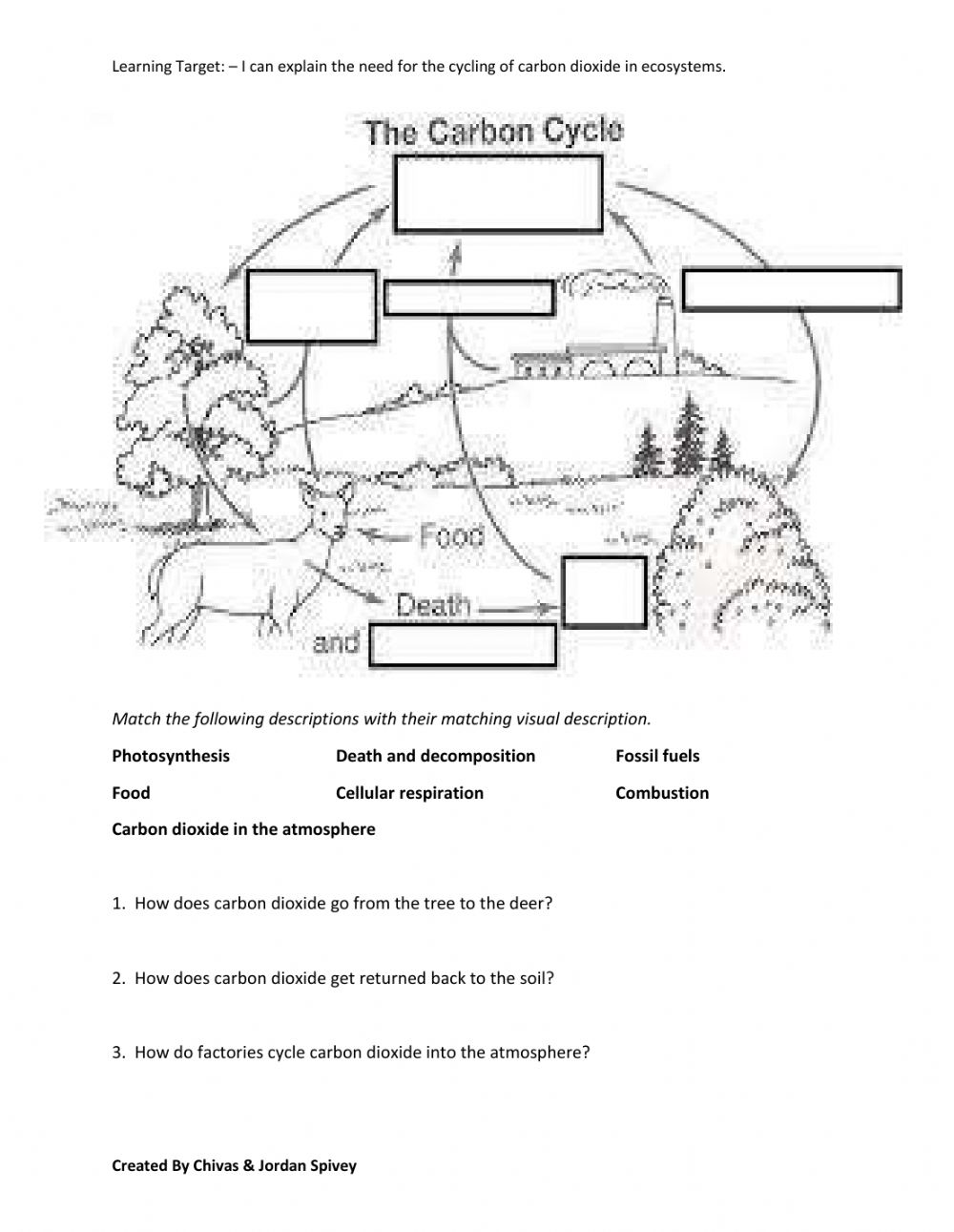 Biogeochemical Cycles Review Worksheet 39