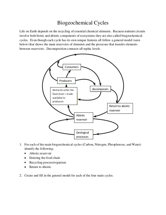 Biogeochemical Cycles Review Worksheet 40