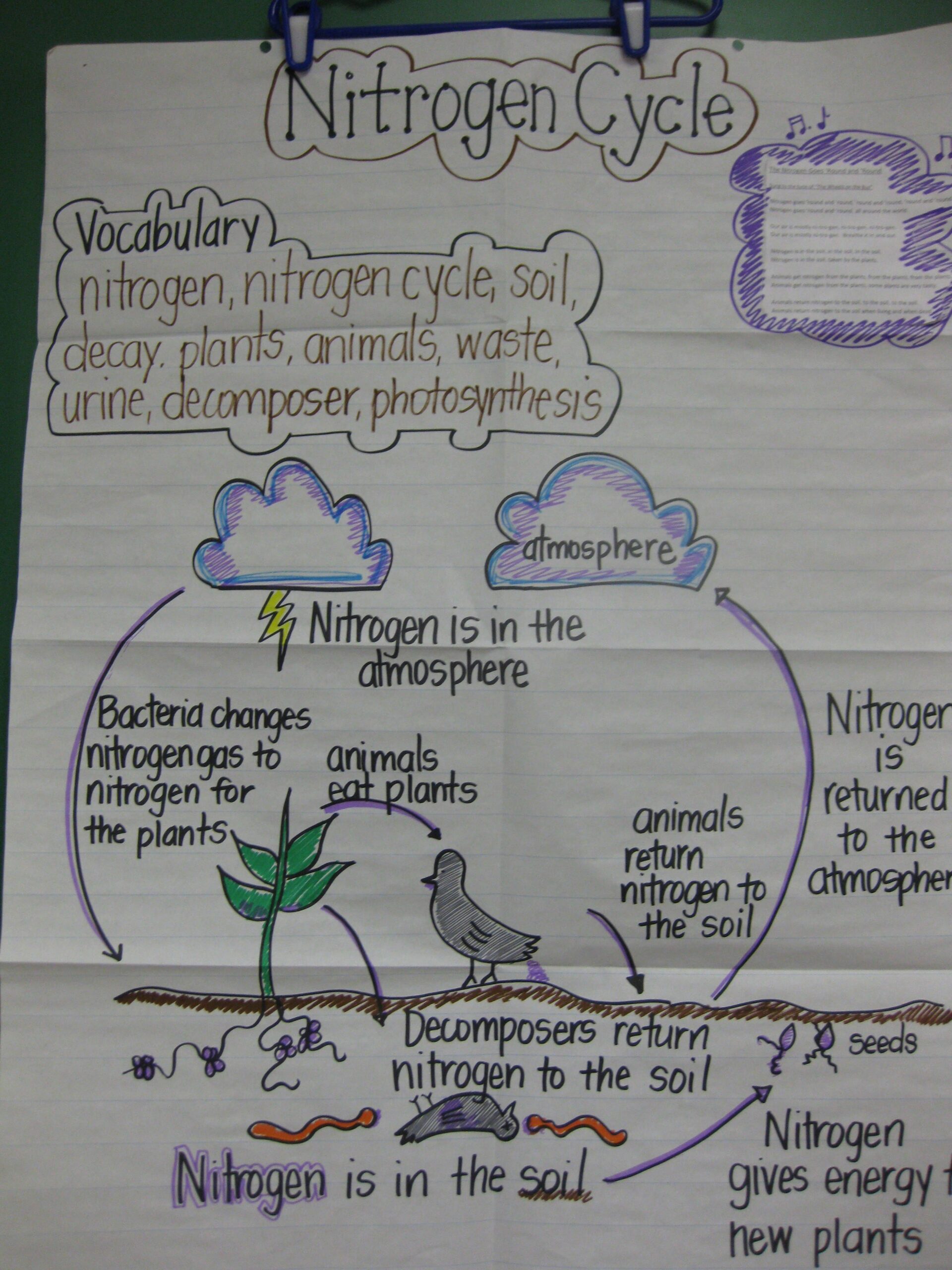 Biogeochemical Cycles Review Worksheet 7