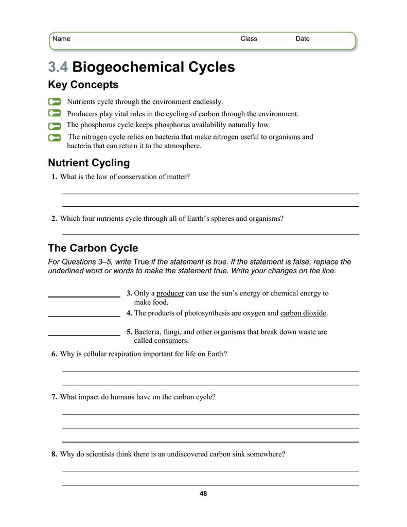 Biogeochemical Cycles Review Worksheet 8