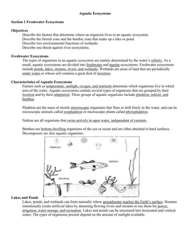 Biogeochemical Cycles Review Worksheet 9