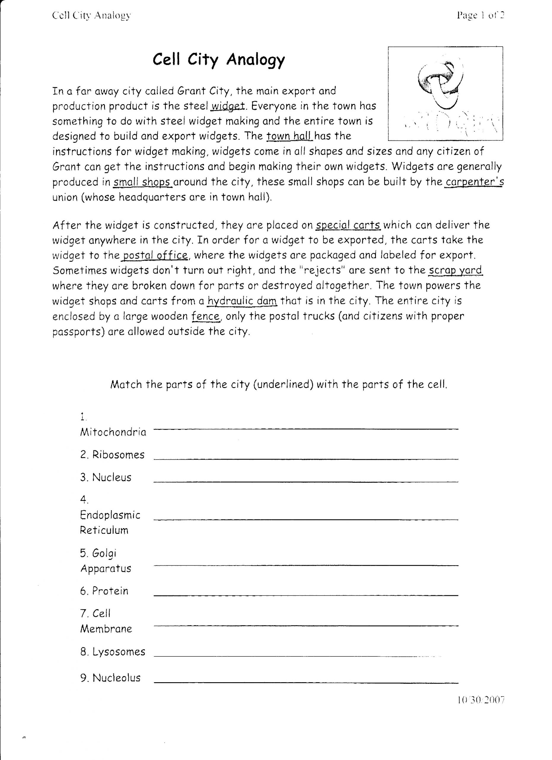 Cell City Worksheet Answers 15