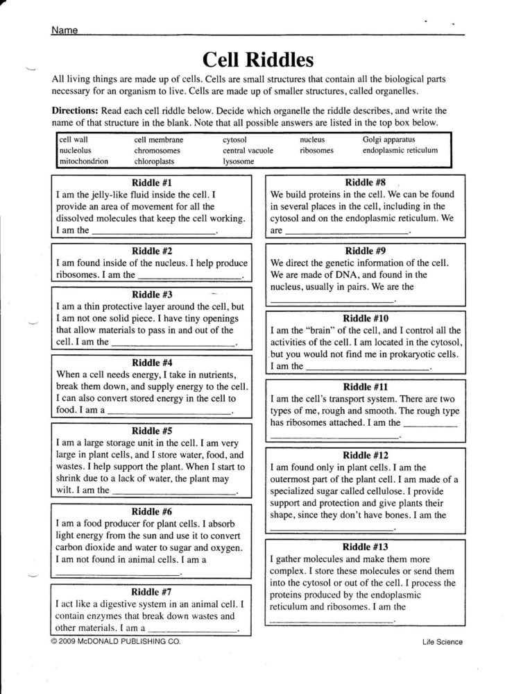 Cell City Worksheet Answers 19