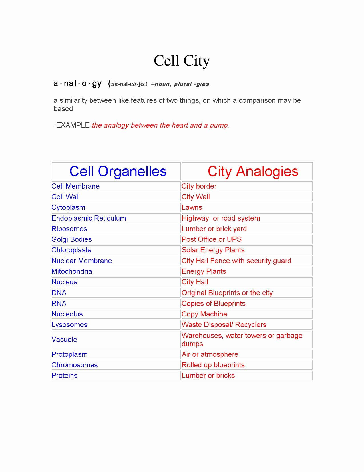 Cell City Worksheet Answers 2