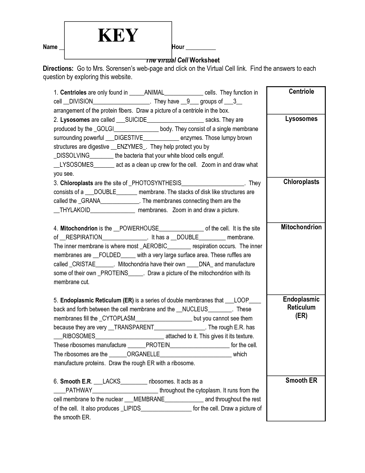 Cell City Worksheet Answers 23