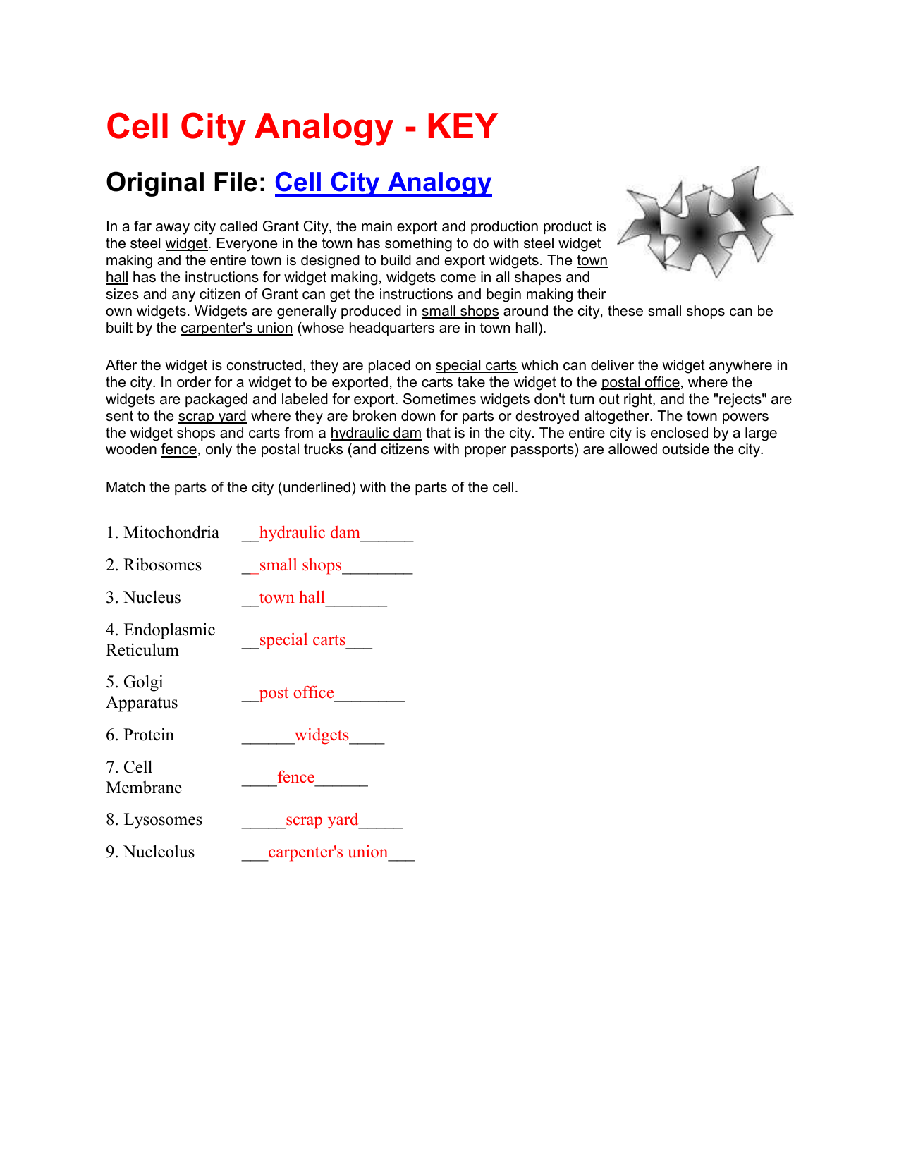 Cell City Worksheet Answers 24