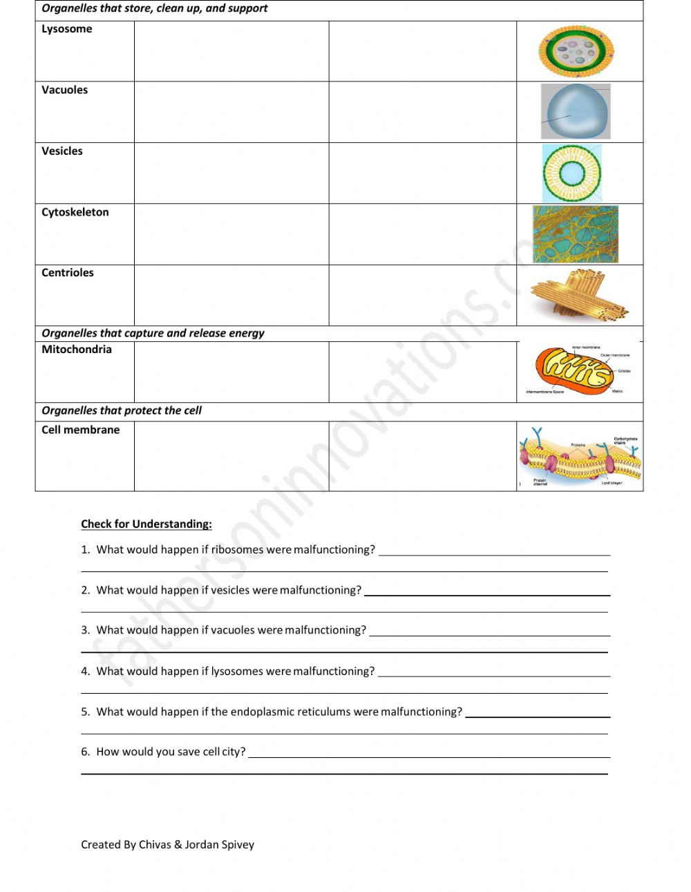 Cell City Worksheet Answers 25