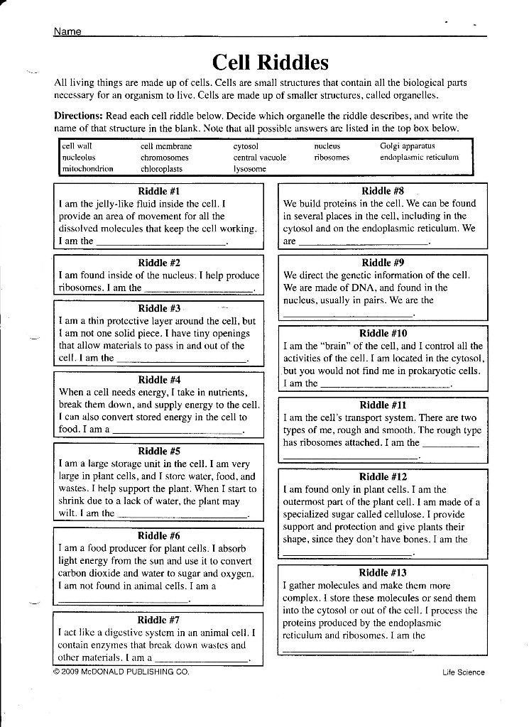 Cell City Worksheet Answers 26