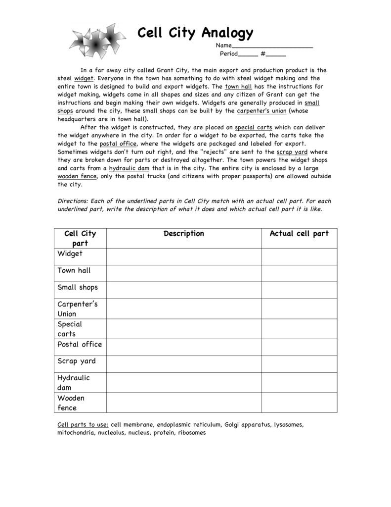 Cell City Worksheet Answers 27