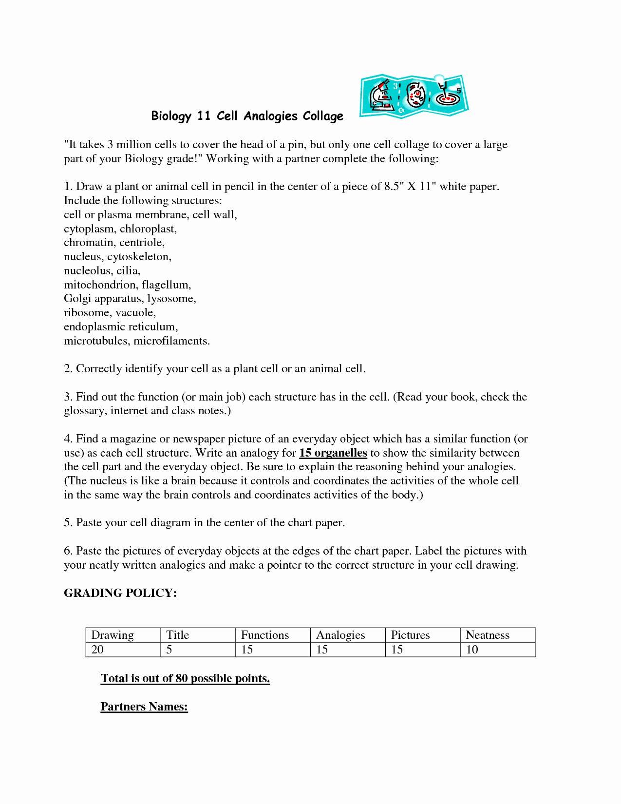 Cell City Worksheet Answers 30