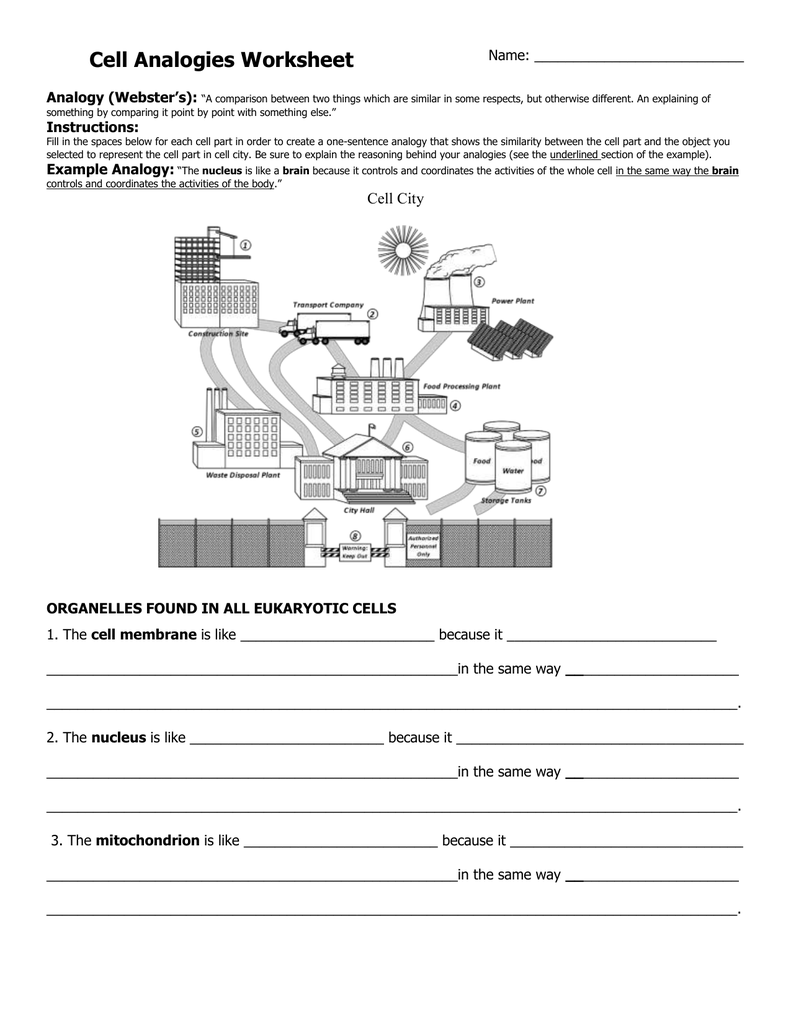 Cell City Worksheet Answers 33