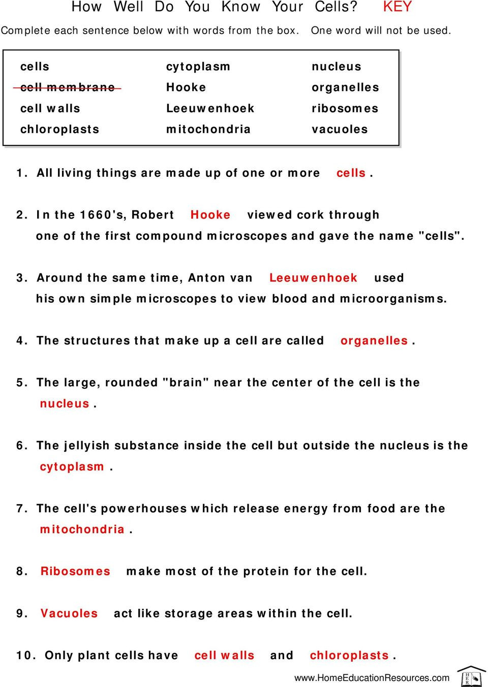 Cell City Worksheet Answers 39