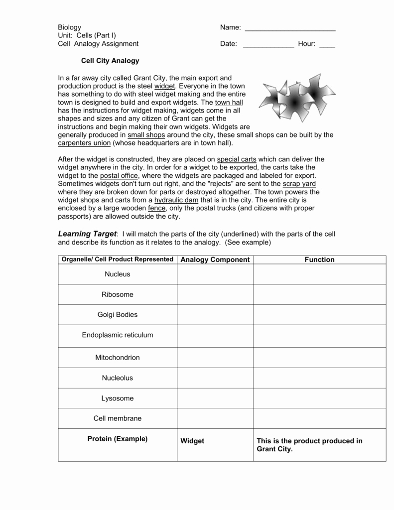 Cell City Worksheet Answers 40