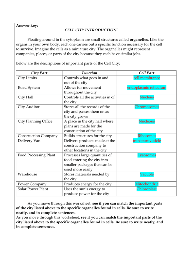 Cell City Worksheet Answers 41