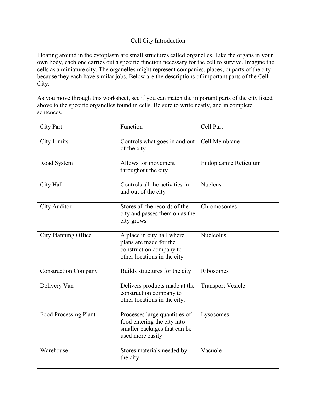 Cell City Worksheet Answers 42