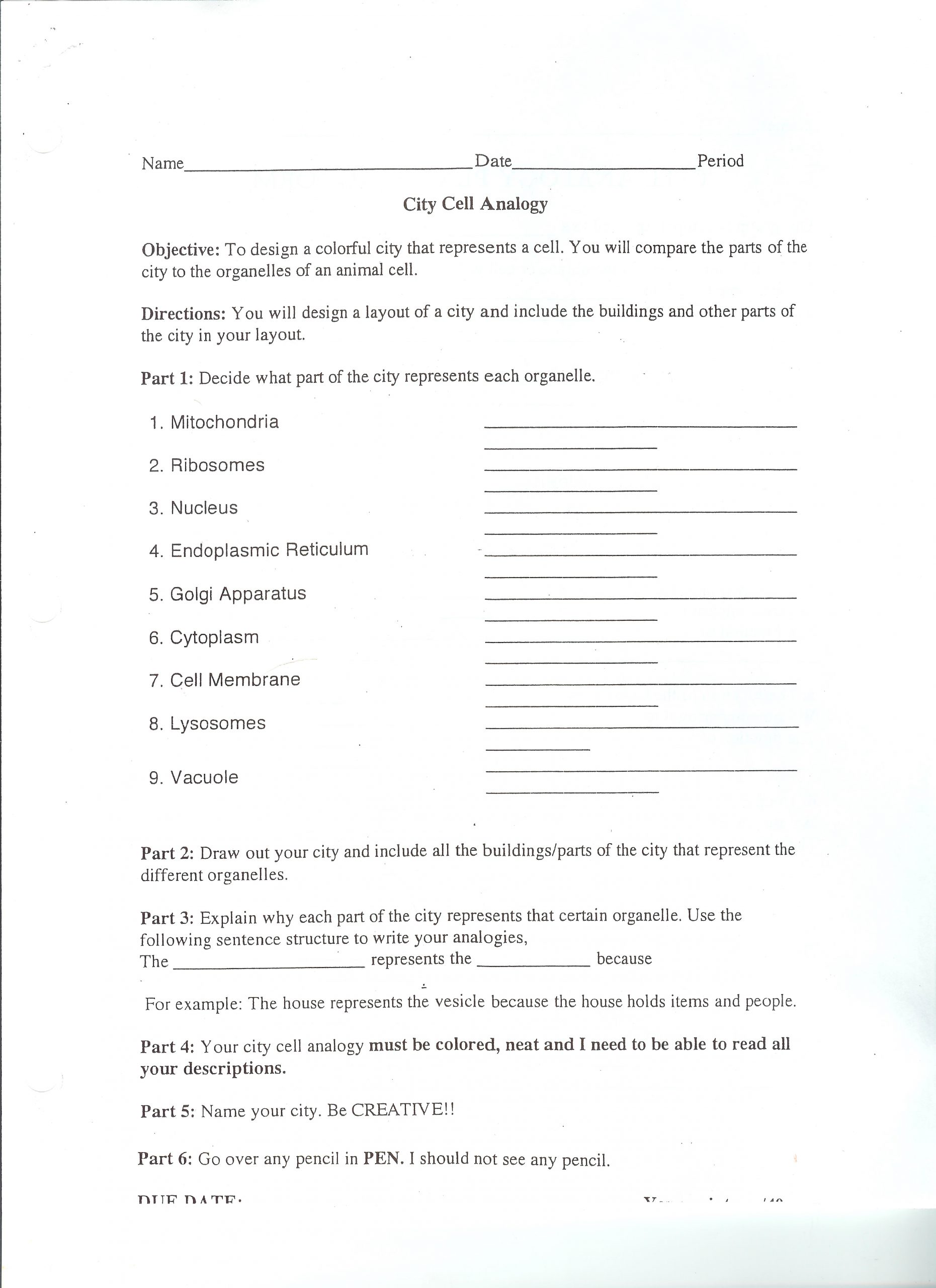 Cell City Worksheet Answers 45