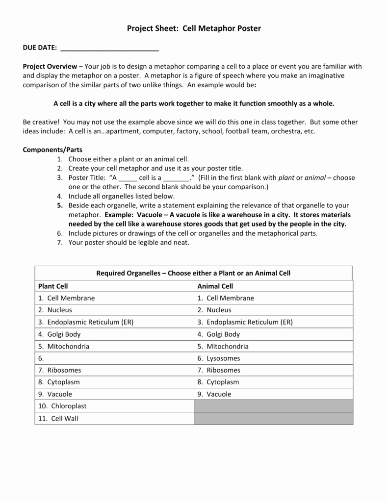 Cell City Worksheet Answers 47