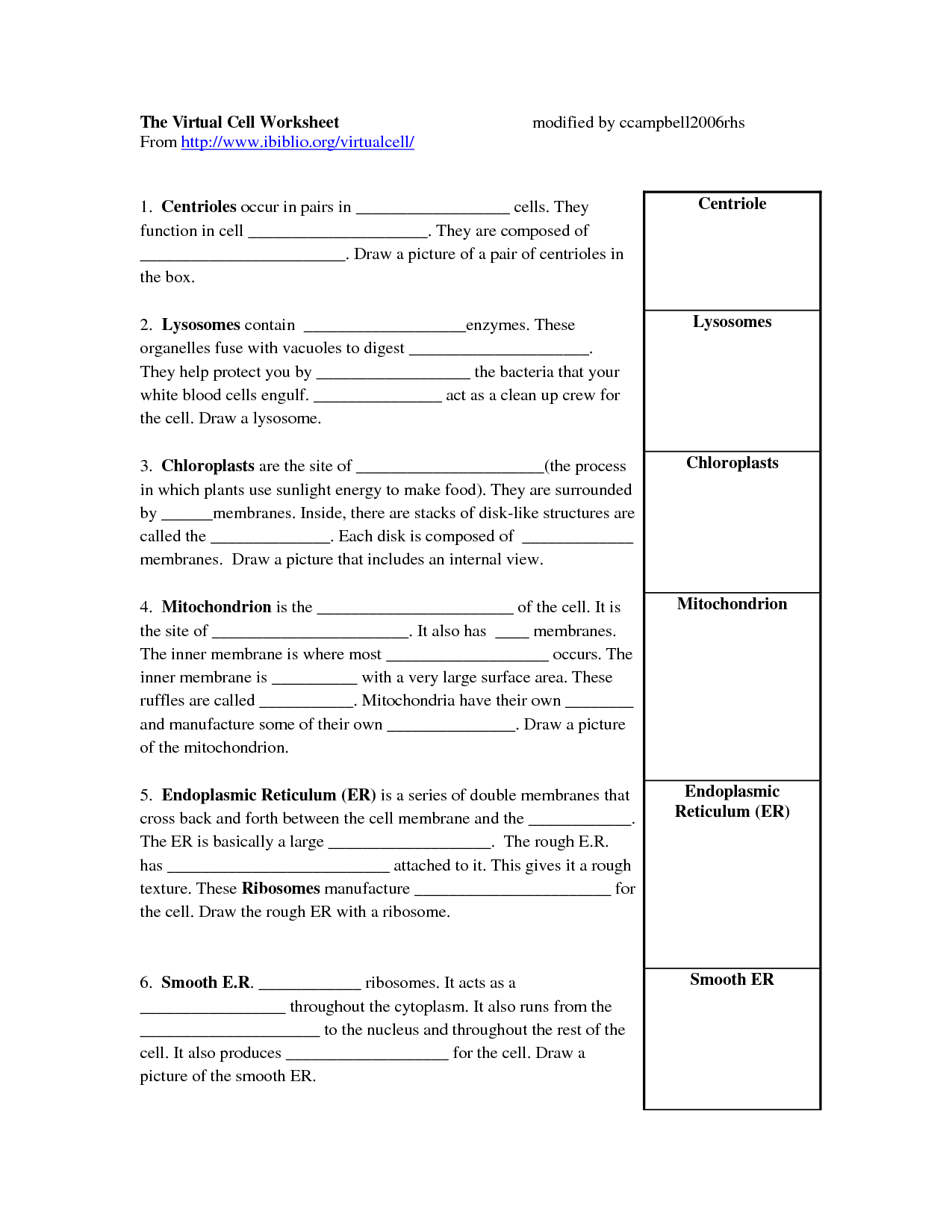 Cell City Worksheet Answers 7