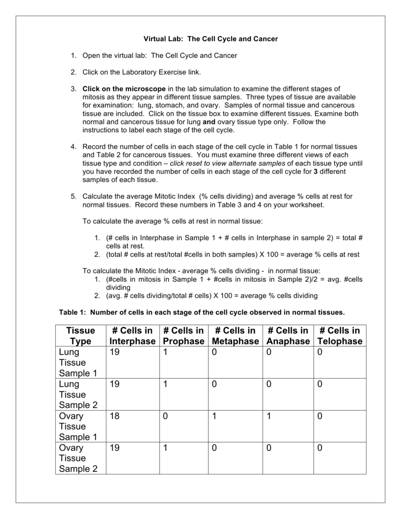 Mcgraw Hill Worksheet Answers 15