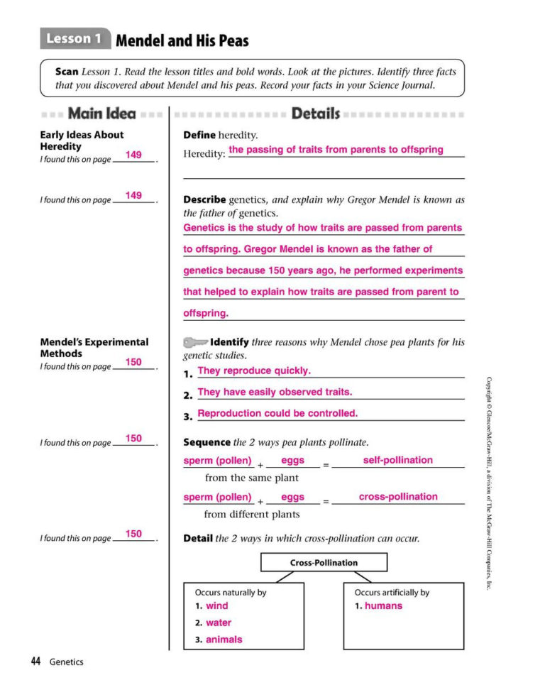 Mcgraw Hill Worksheet Answers 19