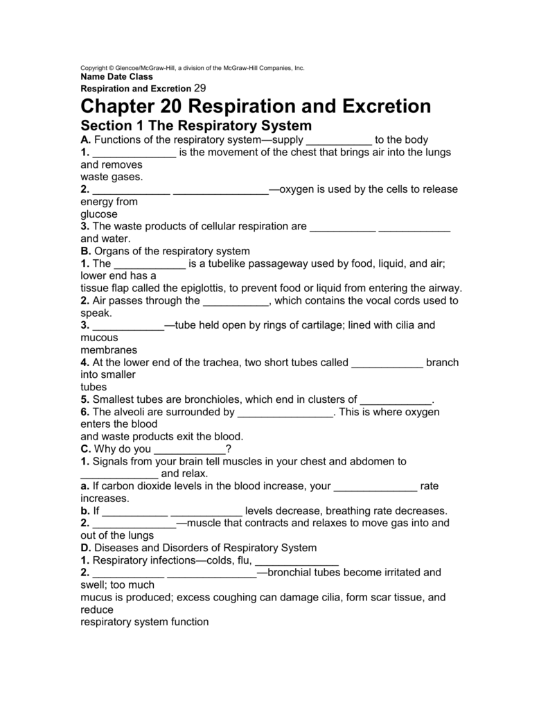 Mcgraw Hill Worksheet Answers 31