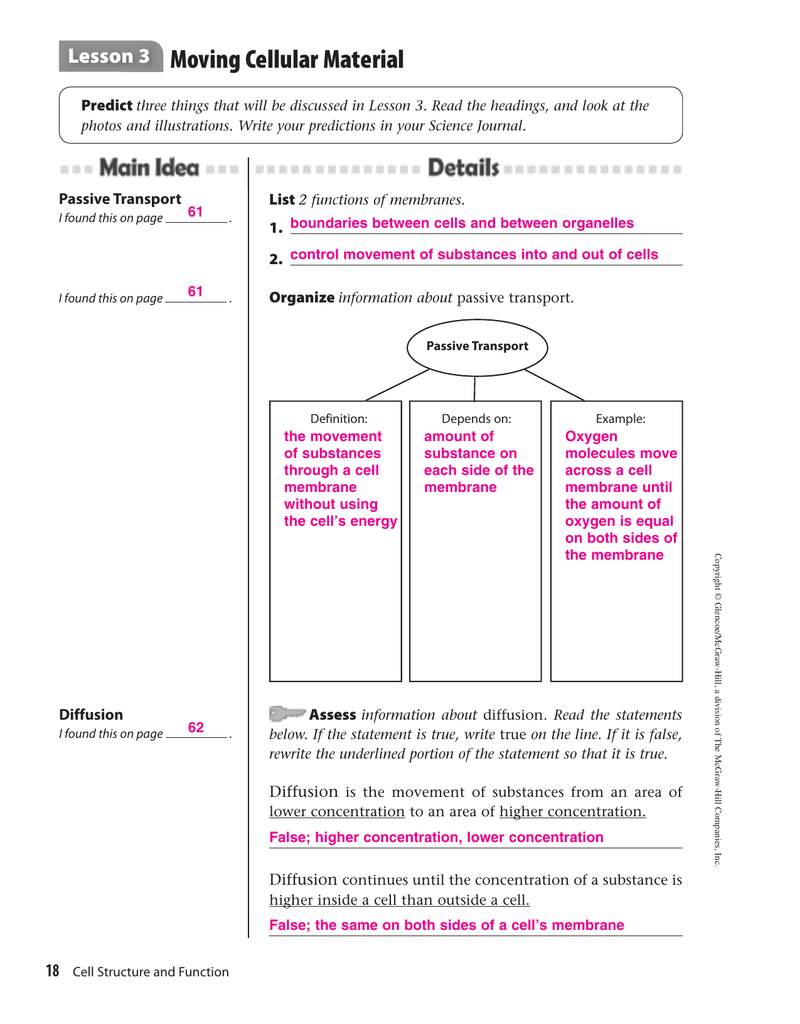 Mcgraw Hill Worksheet Answers 38