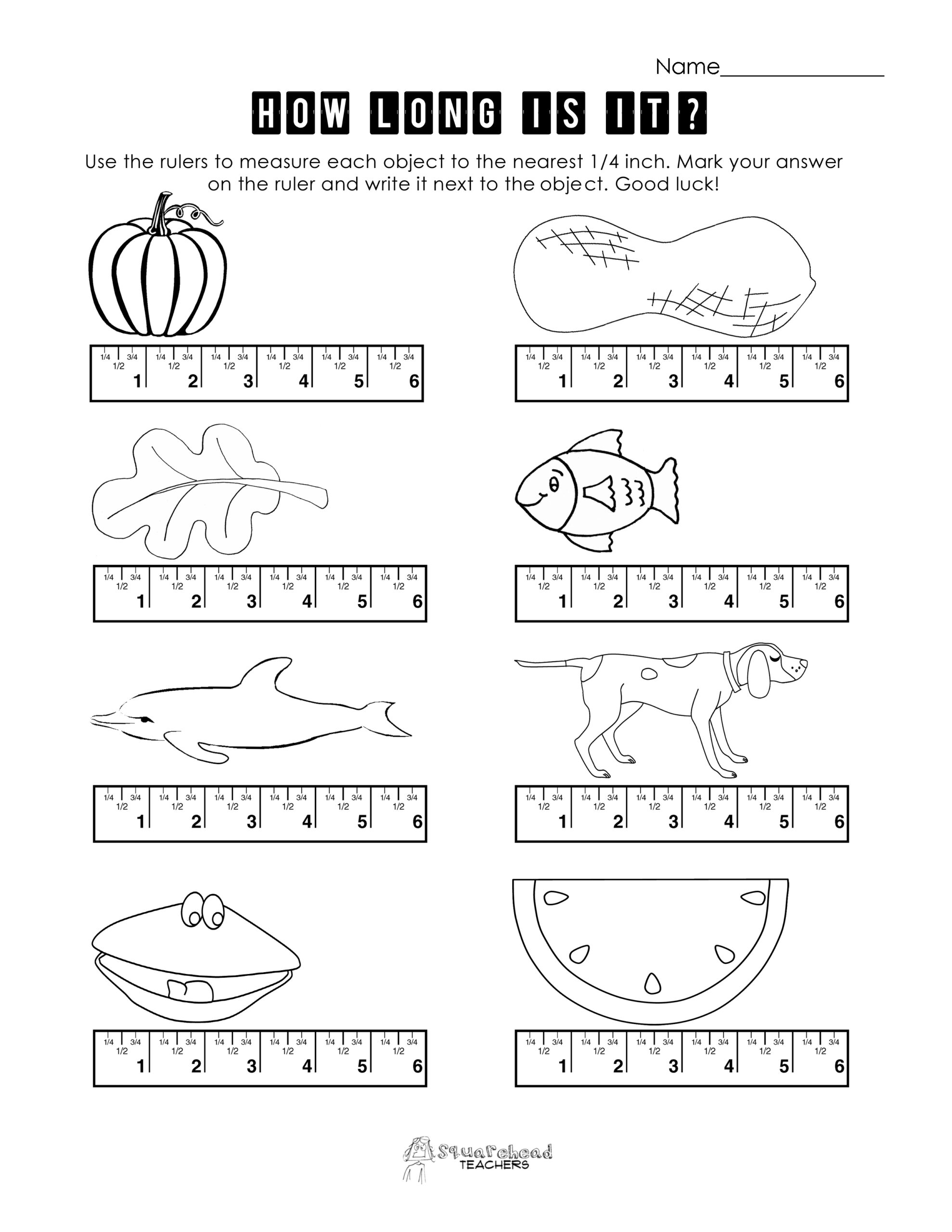 Meter To Centimeter Worksheet 16