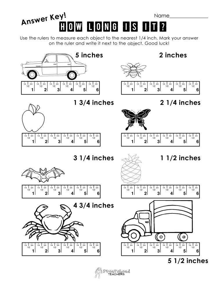 Meter To Centimeter Worksheet 27