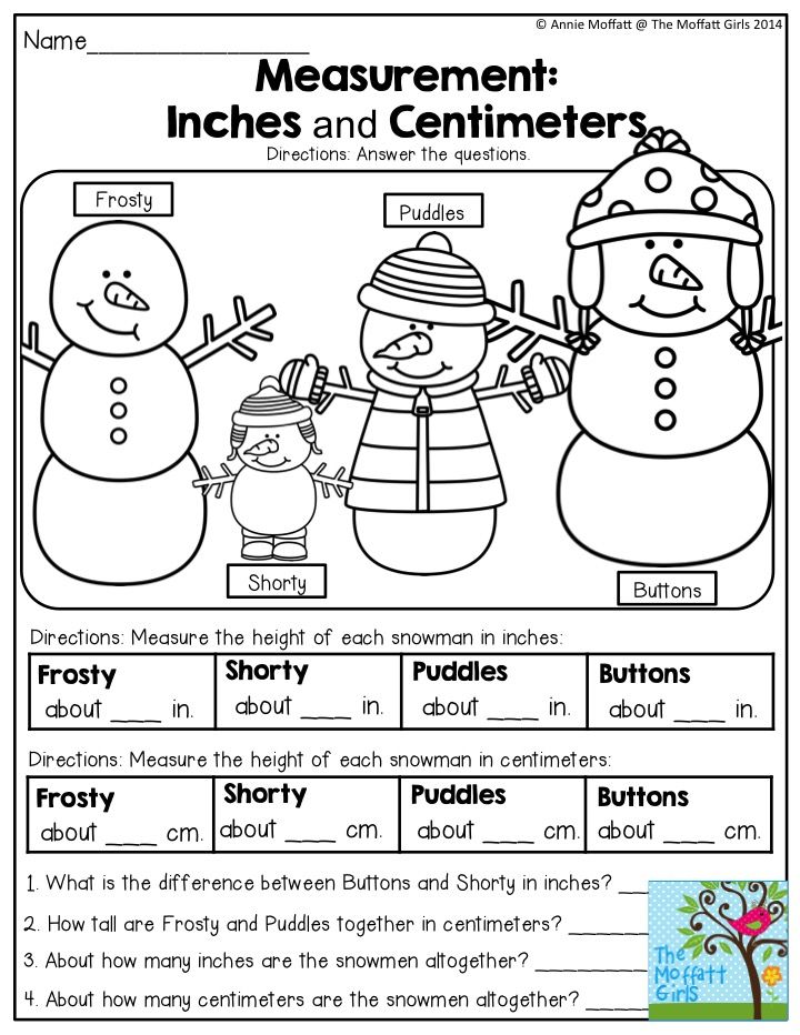 Meter To Centimeter Worksheet 49