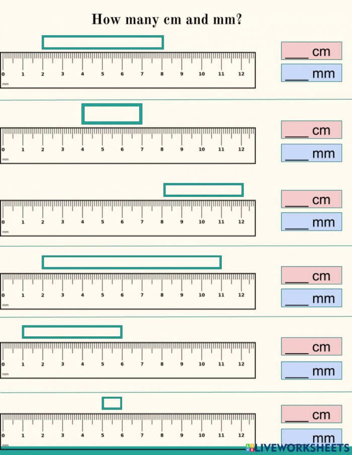 Meter To Centimeter Worksheet 7