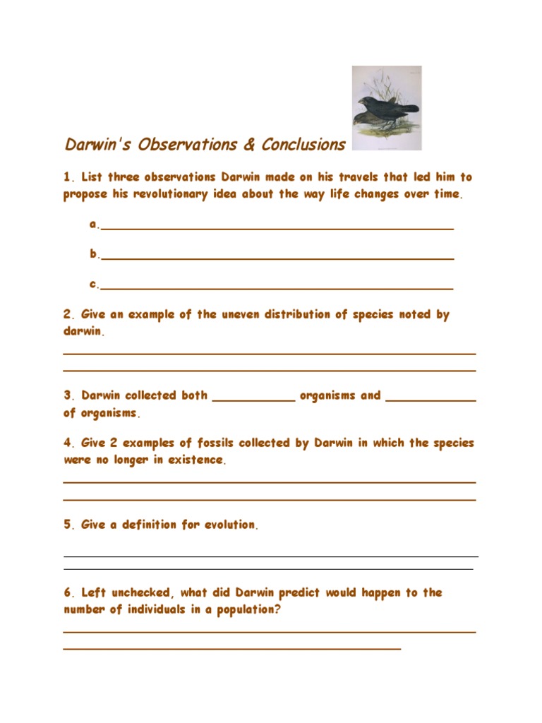 Natural Selection Worksheet For Middle School 11