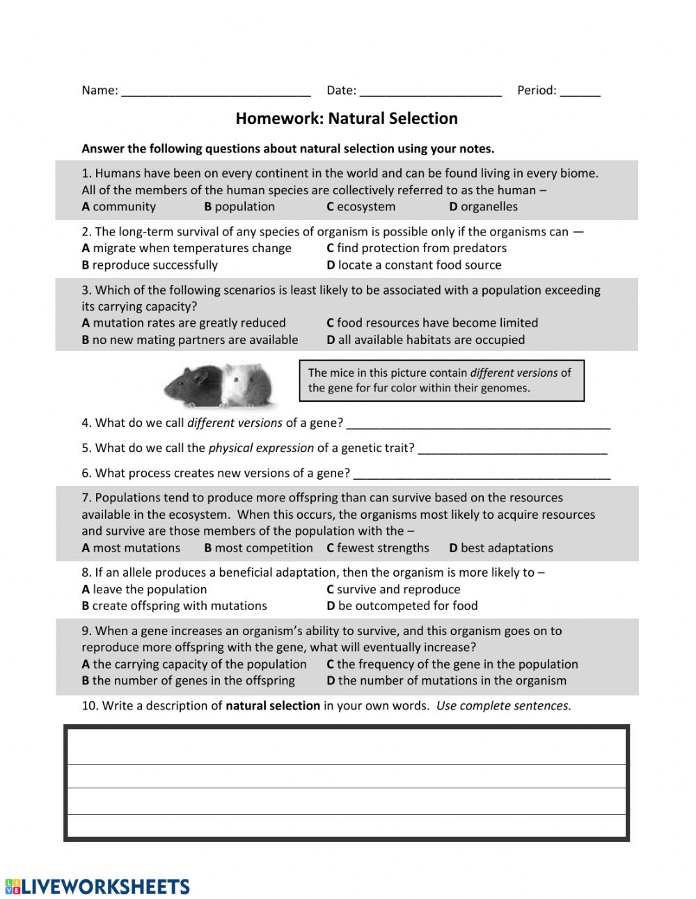 Natural Selection Worksheet For Middle School 12