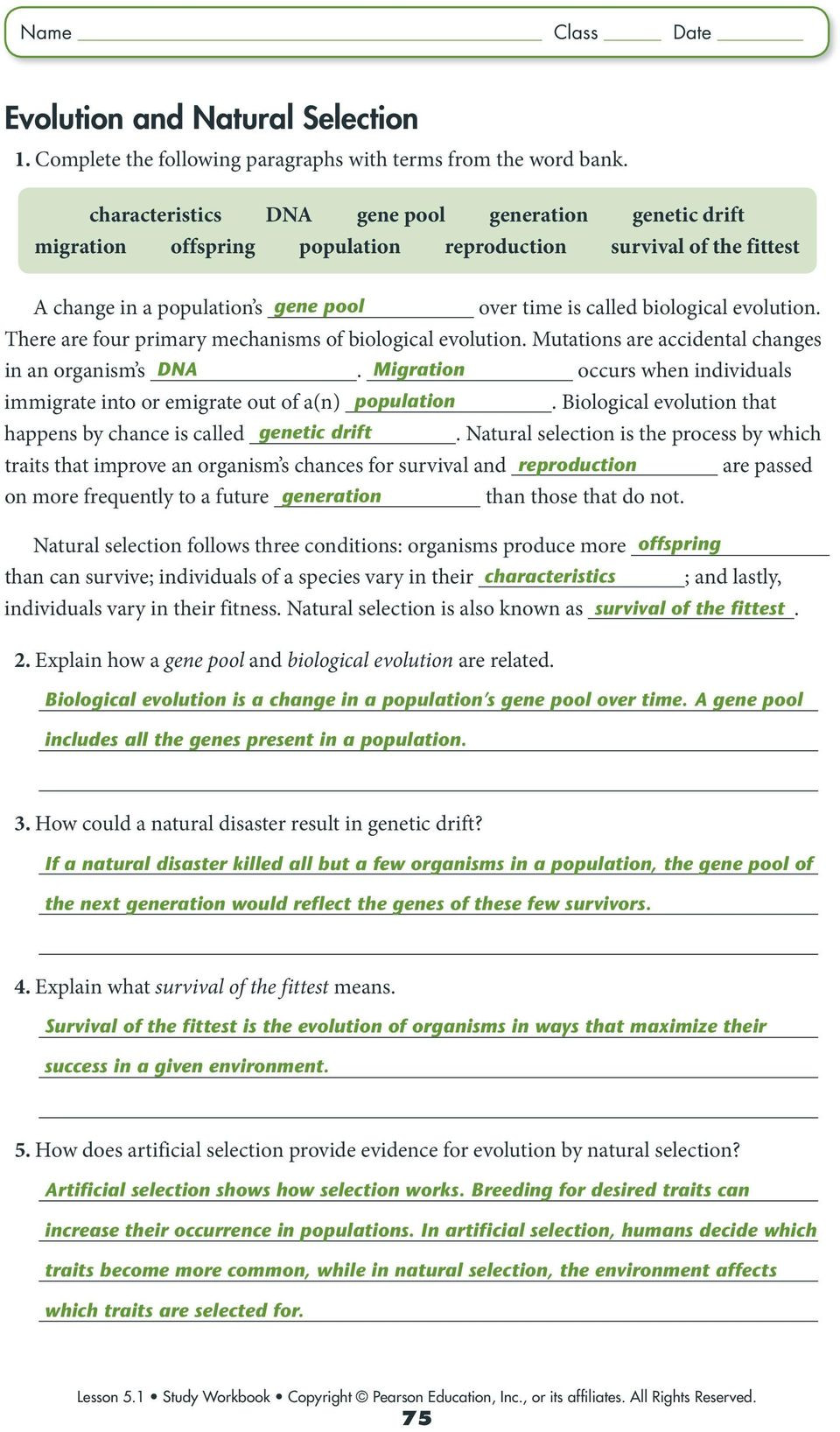 Natural Selection Worksheet For Middle School 19