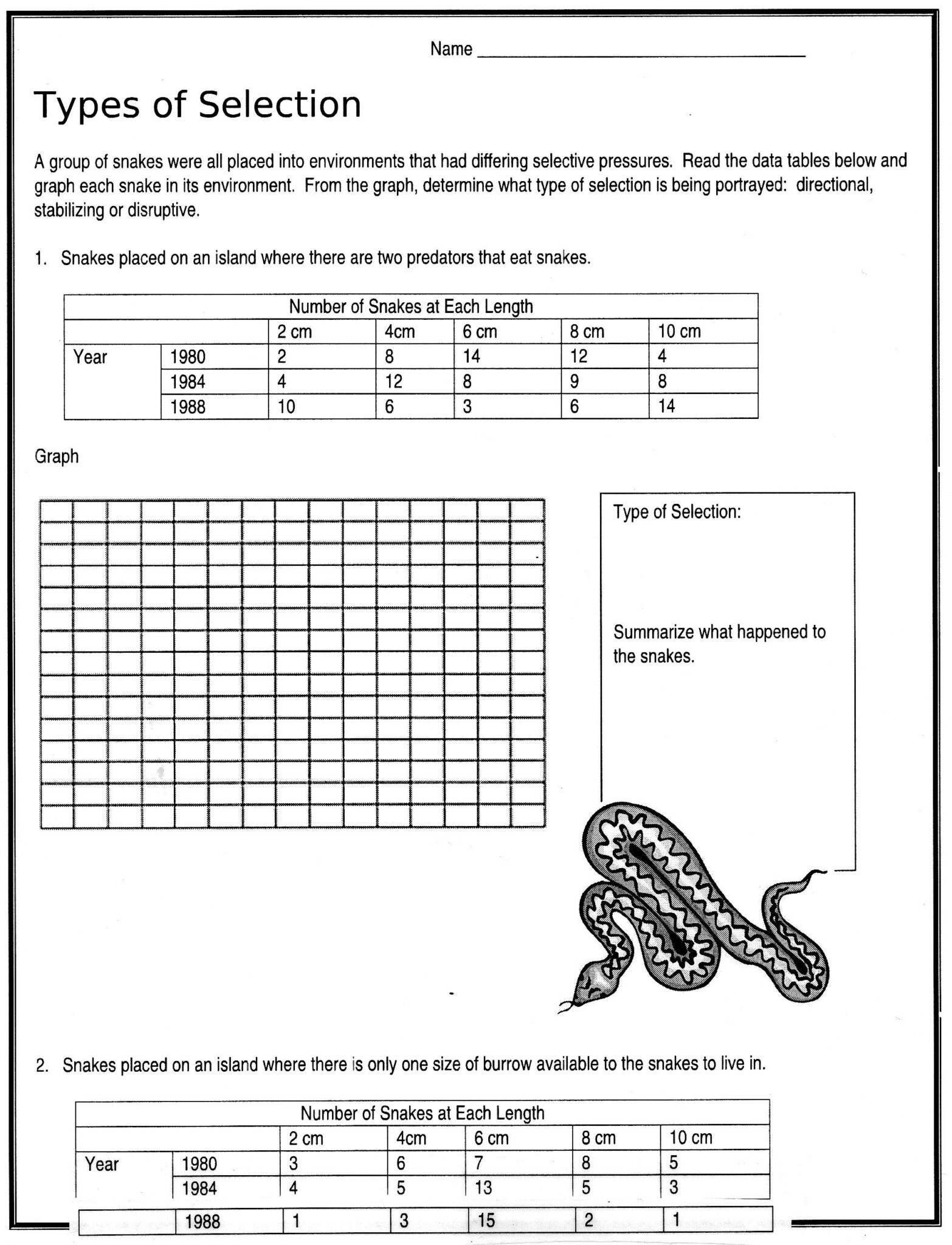 Natural Selection Worksheet For Middle School 21 Martin Lindelof