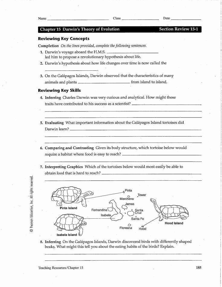 Natural Selection Worksheet For Middle School 25